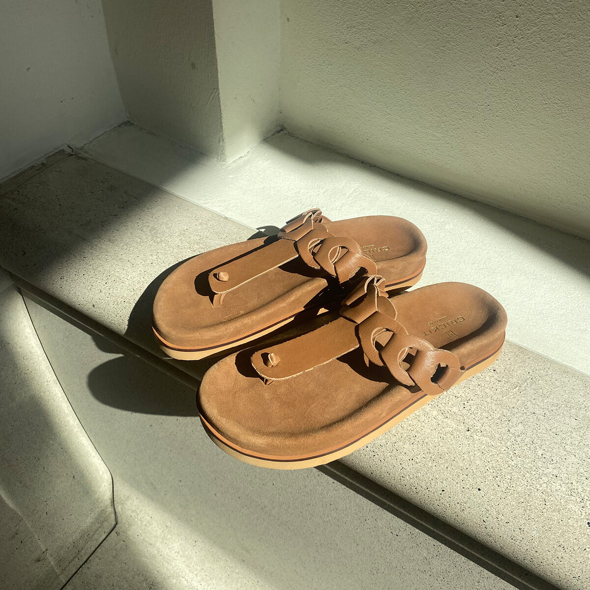 ODINE Camel