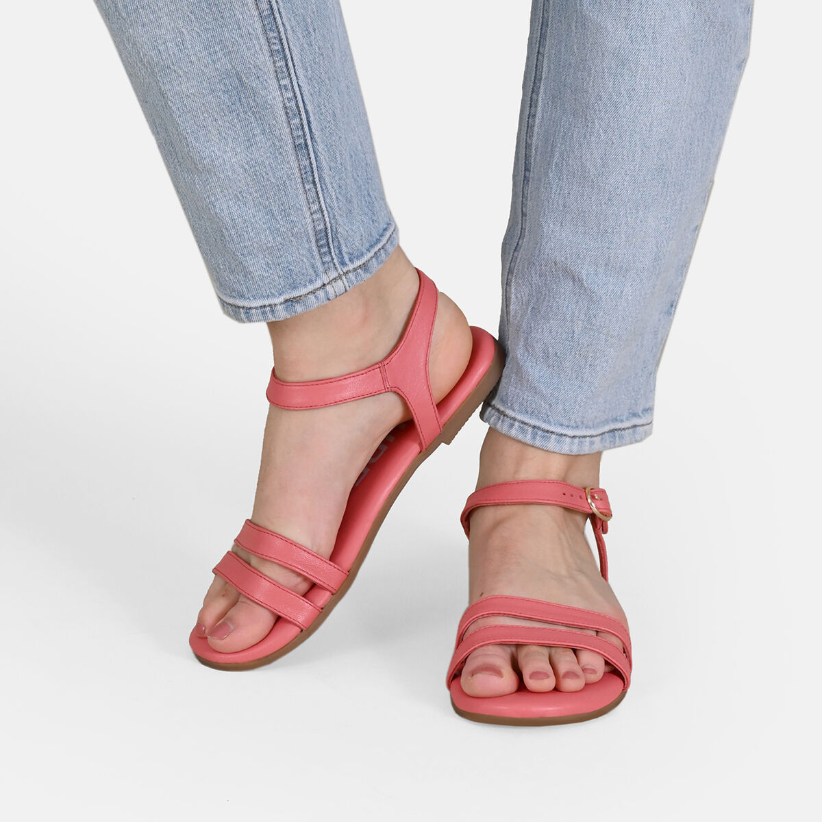 ASTI Flamingo