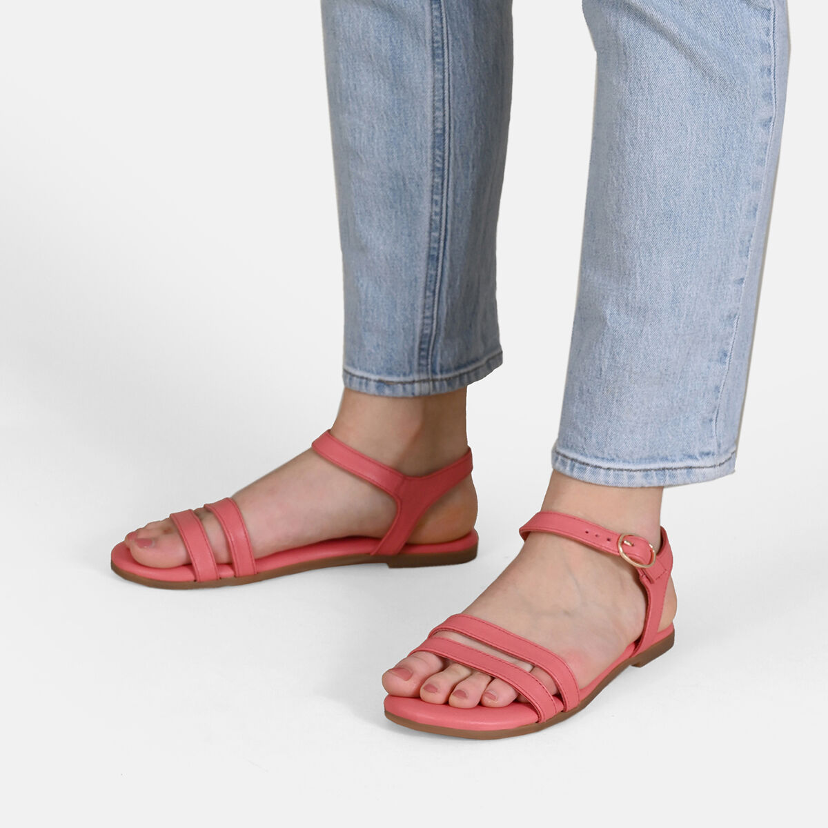 ASTI Flamingo