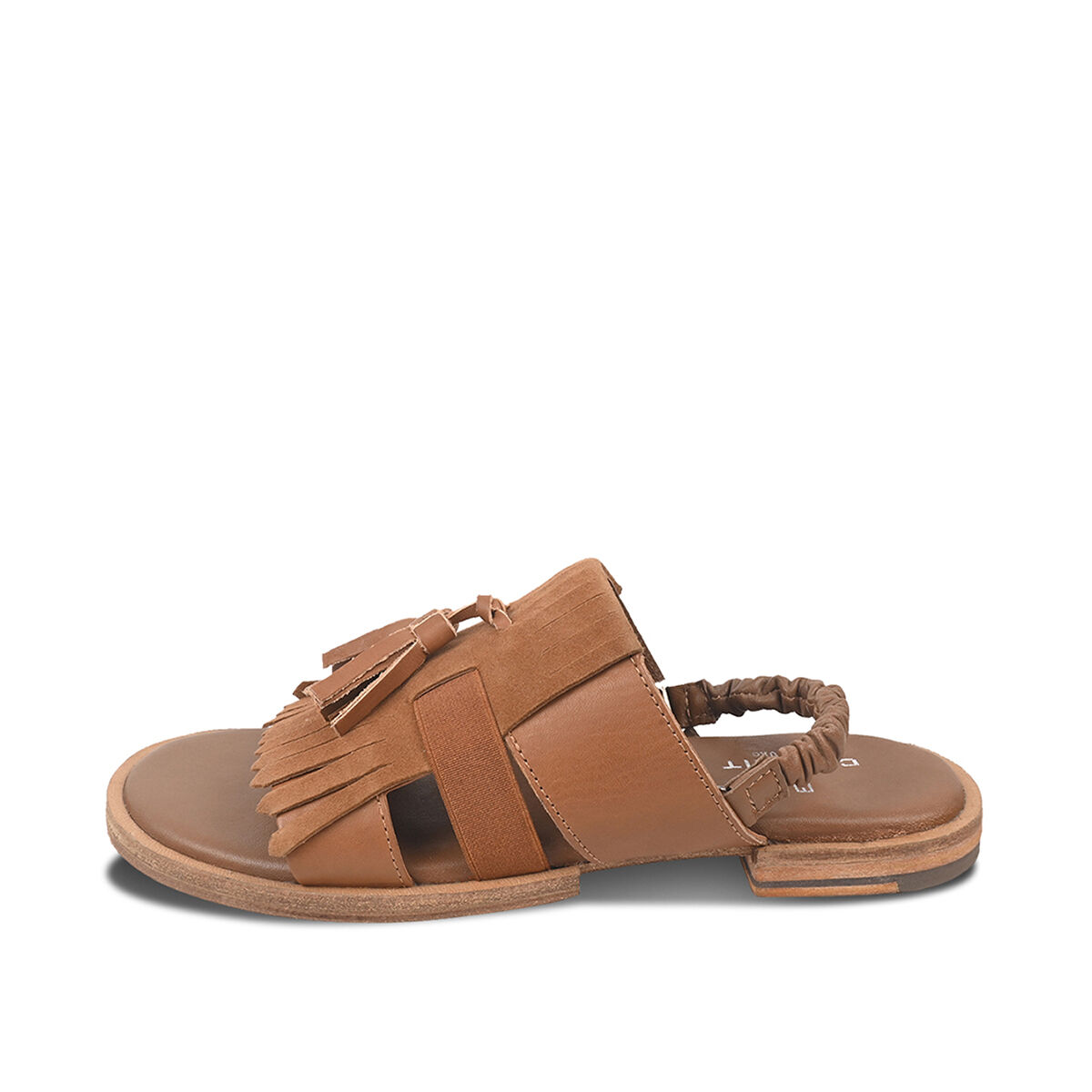 ROJA Camel