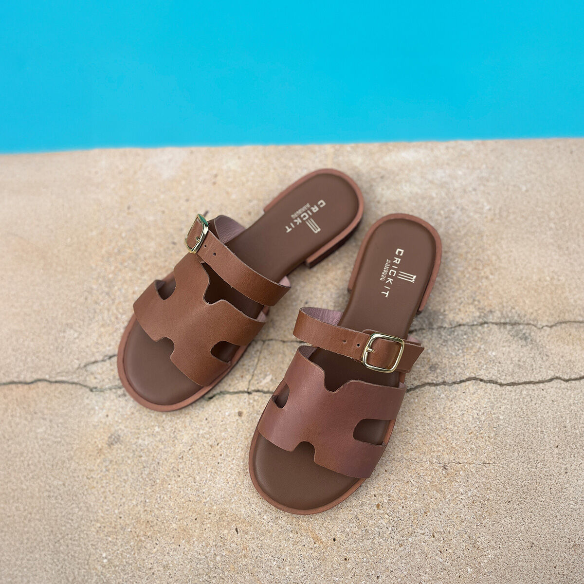 ODETTE Camel