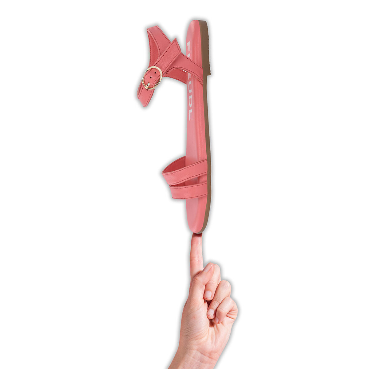 ASTI Flamingo
