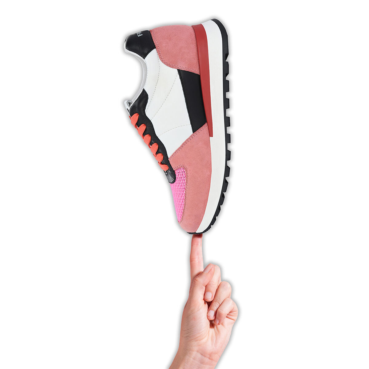 ASTA Flamingo