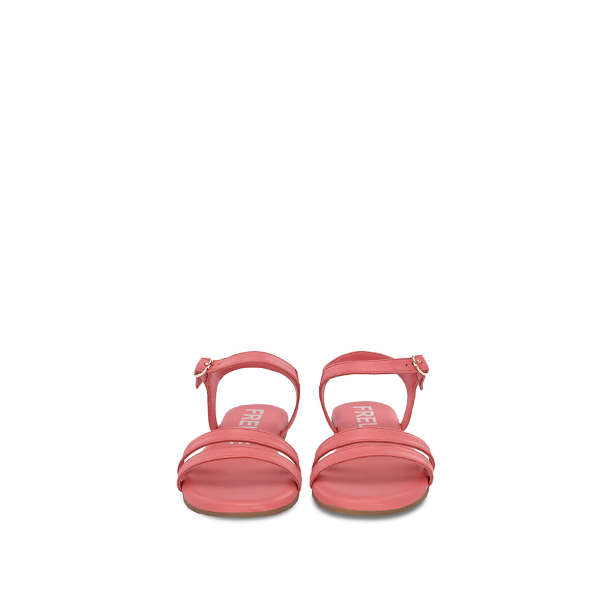 ASTI Flamingo