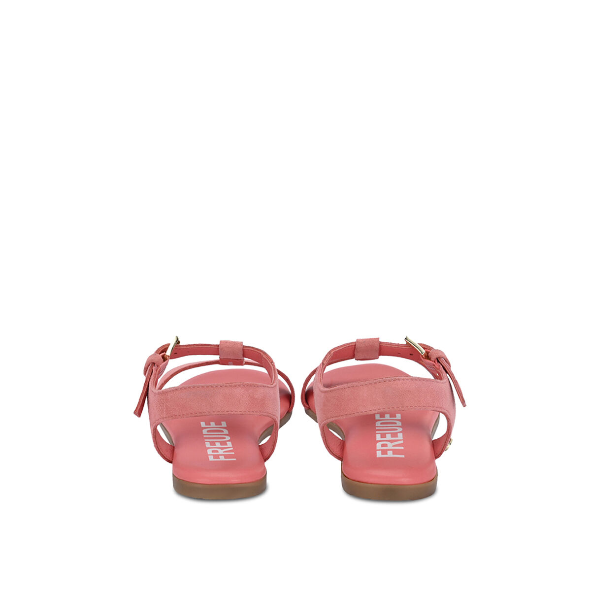 ASTI Flamingo