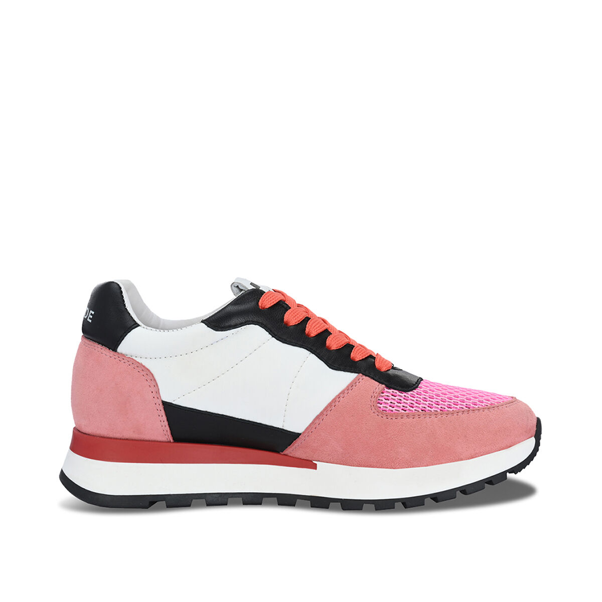 ASTA Flamingo